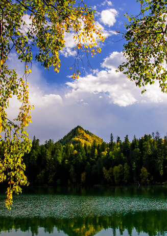 A serene lake with a forested shoreline reflects the trees and a blue, partly cloudy sky. A distant, tree-covered mountain is visible. Autumn leaves hang from above, framing this non-hazardous scene in shades of green and yellow.